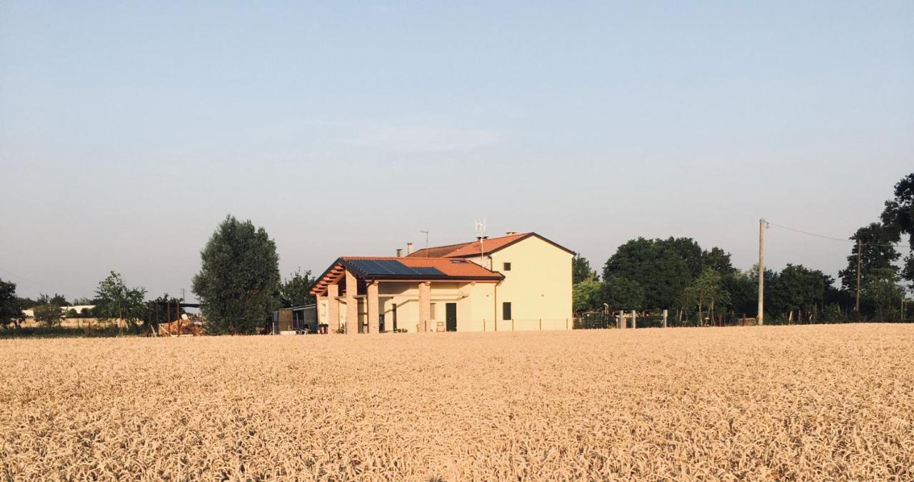 B&B Casa Egle Corbola Exteriér fotografie